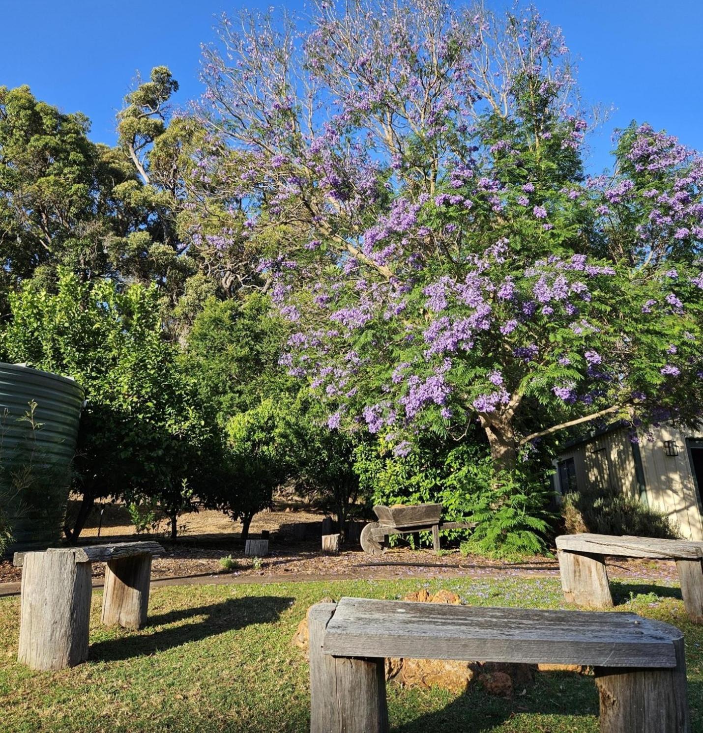 Forest Trails House, Dwellingup Villa Exterior foto